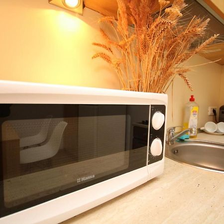 Studio Cozy Timisoara Ngoại thất bức ảnh